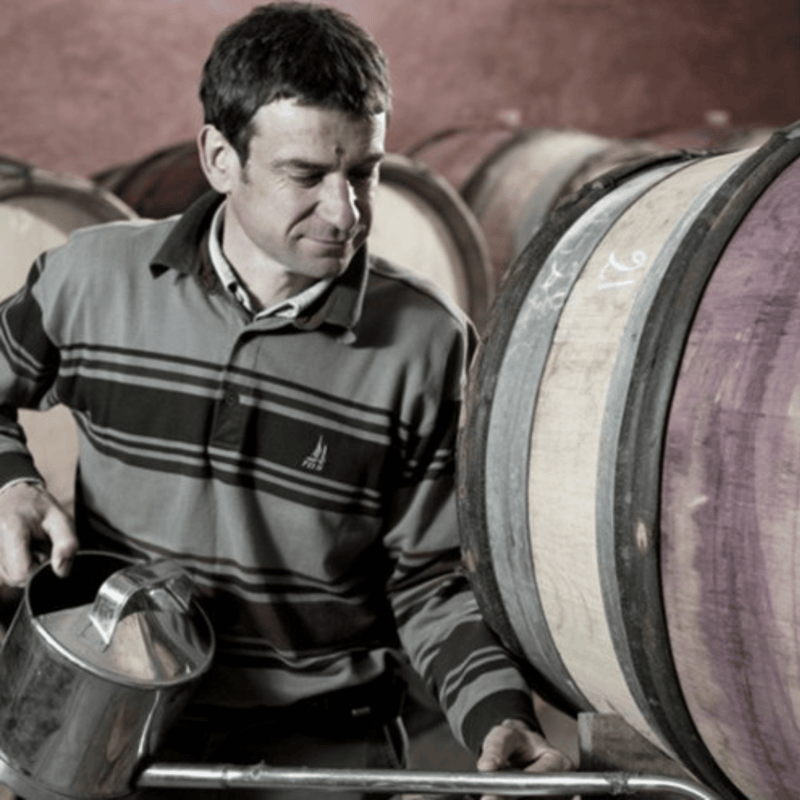 Domaine Rapet Père et Fils
