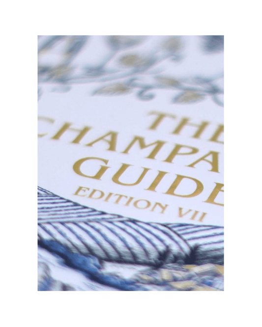 The Champagne Guide VII - Tyson Stelzer's