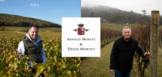 Precision Under Pressure: Denis & Arnaud Mortet and the 2023 Burgundy Vintage