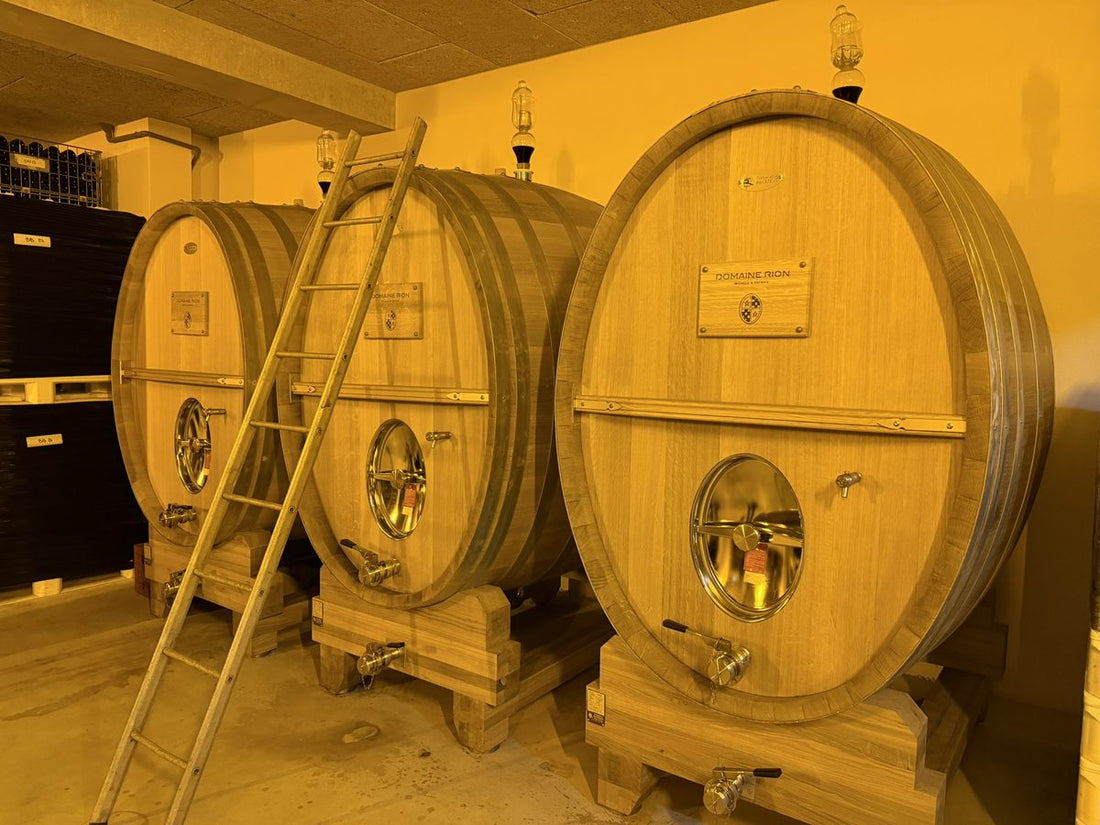 Domaine Rion oak foudres under yellow cellar lighting, Premeaux