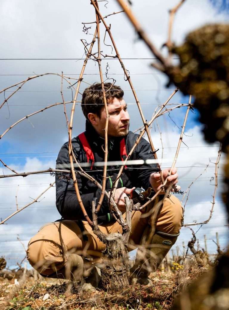 The Fifth Name: How Pierrick Bouley Joined Volnay's Aristocracy in 2023