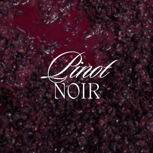 Pinot Noir