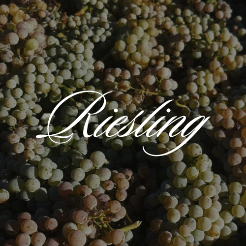 Riesling