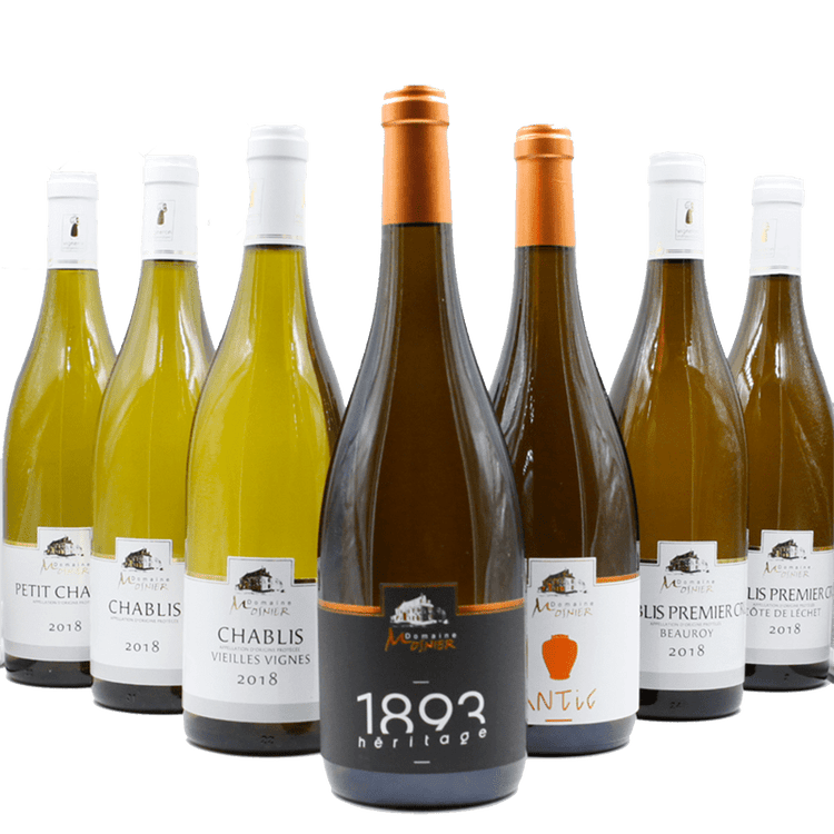 Sylvain Mosnier - Lamont's Cottesloe