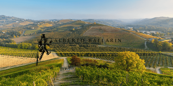Alberto Ballarin