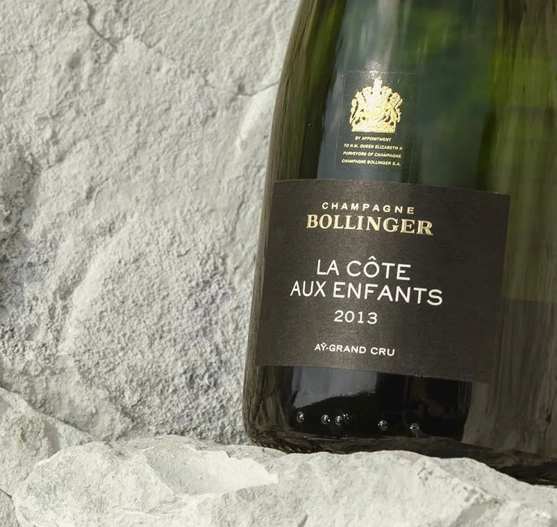 2013 La Cote aux Enfants Champagne