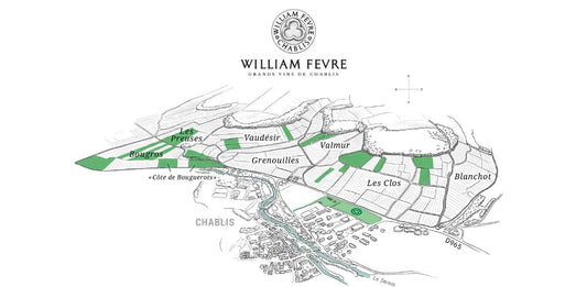 2020 William Fevre Grands Cru Journey 6 - Pack