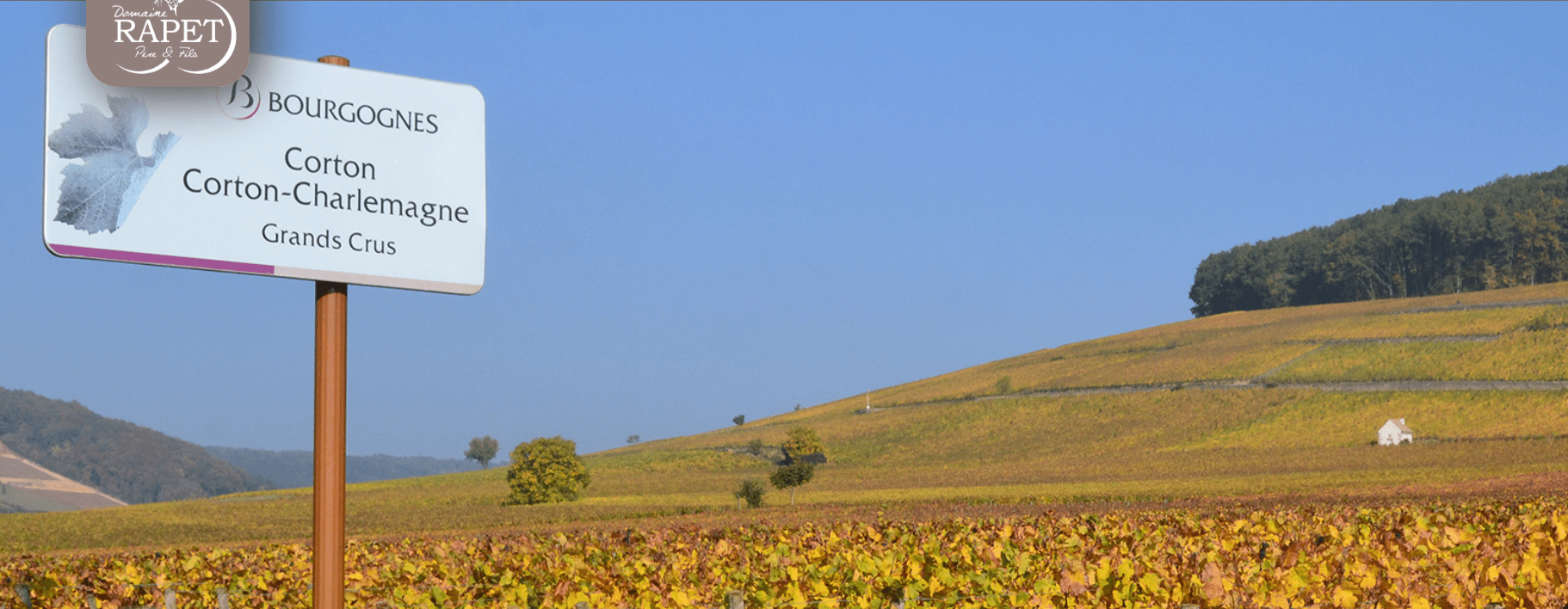 The Hill of Corton Grand Cru, France