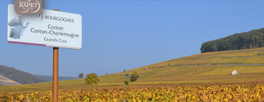 The Hill of Corton Grand Cru, France