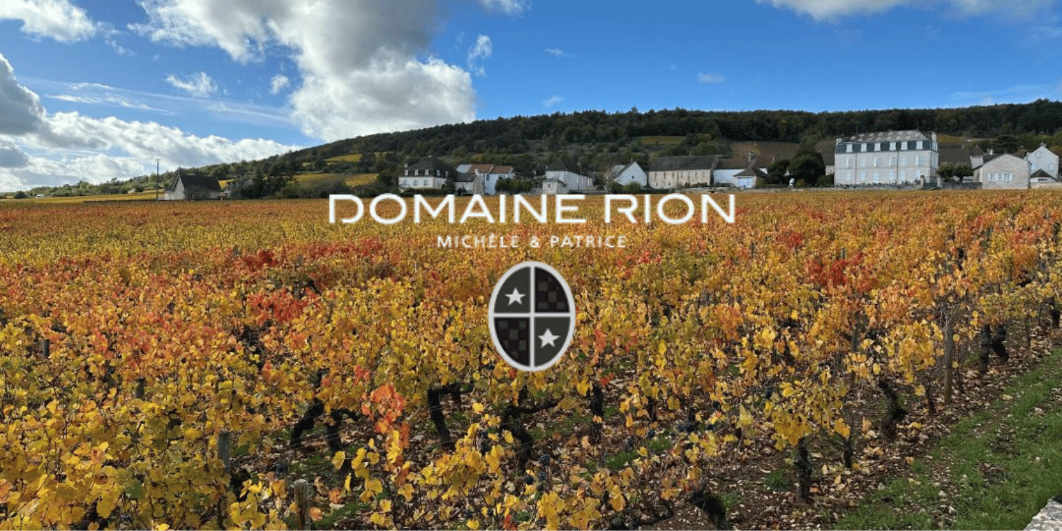 Domaine Patrice et Maxime Rion