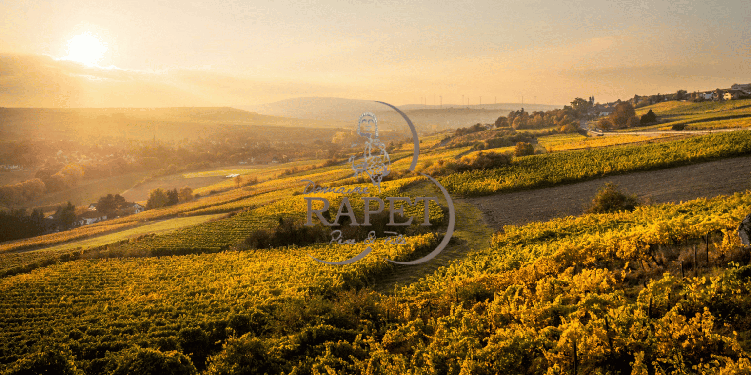 Domaine Rapet Père et Fils