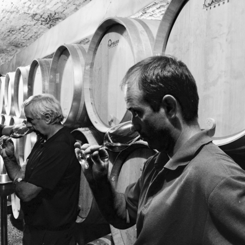 Domaine Patrice et Maxime Rion
