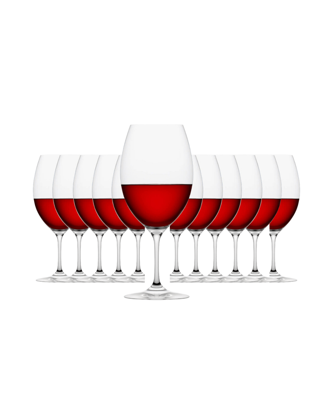 Plumm Everyday Red Wine Glass (Set of 12 Glasses)