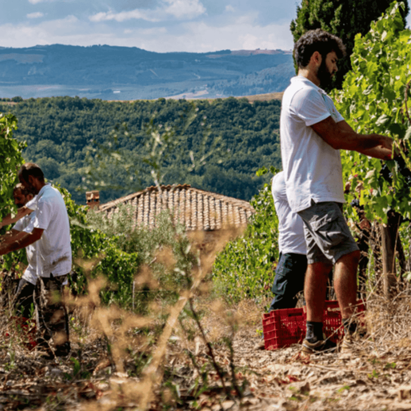Tenuta Buon Tempo